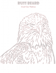 Eagle 2