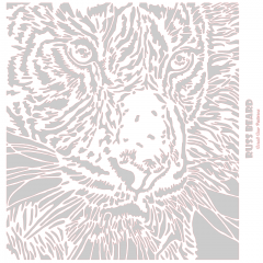 Tiger 2