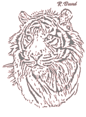 Tiger 3