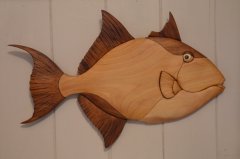 Trigger Fish intarsia
