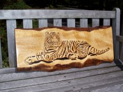 Sumatran Tiger on Tiger Maple