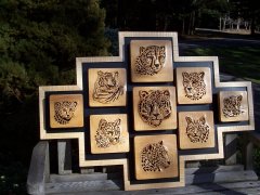 Wildcats of the World