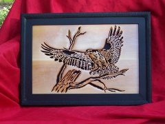 Osprey