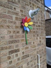 flower wall.jpg