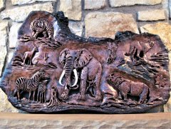 My Wildlife Montage