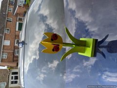 IMG_20200520_132058.jpg
