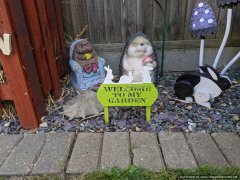 IMG_20200529_153340.jpg