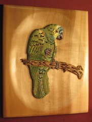 Amazon Parrot