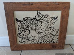 Leopards.jpg