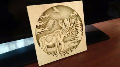 C123-moose
