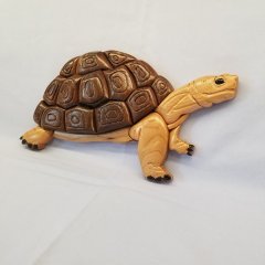 Turtle