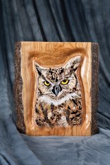 Great Horned Owl