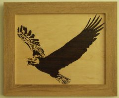 Soarimg Eagle 1.JPG