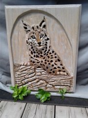 Mountain Bobcat R.jpg
