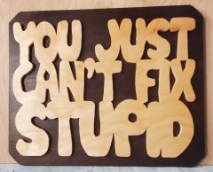 YJCFS finished 1.jpg