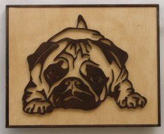 Pug 1.JPG