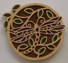 Dragonfly in circle 1.JPG