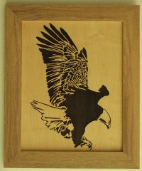 Diving eagle.jpg