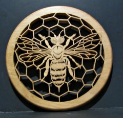 fiona bee on a comb.jpg