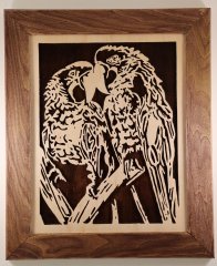 Macaw - K Hopkins small.JPG