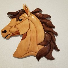 horse.jpg
