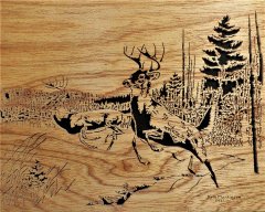 Deer On The Run (2).JPG