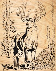 Buck and Doe (2).JPG