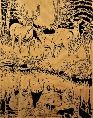 Deer at Lake Reflection (3).JPG
