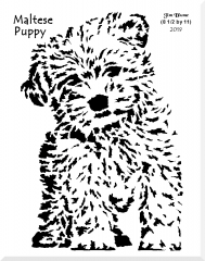 Dog, Maltese puppy.png