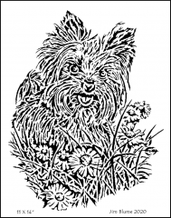 Dog, Yorkie.png