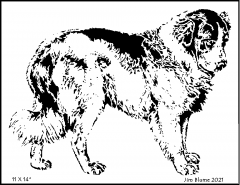 Dog, St. Bernard 2.png