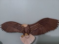 Eagle.jpg