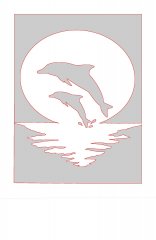 Jumping Dolphins - FrankEV.jpg