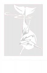 Dolphin portrait- FrankEV.jpg