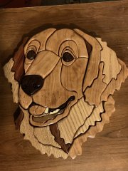 Golden Retriever Intarsia.jpg