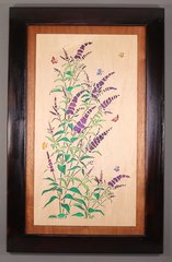 Buddleia Butterfly Bush - H Donavan.jpg