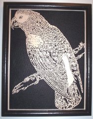 parrot.JPG