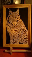 lynx.jpg