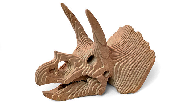 C184-dino skull