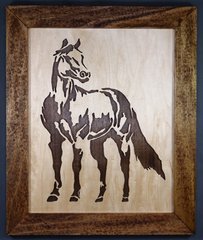 Horse Proud.jpg