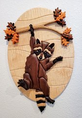 raccoon.jpg