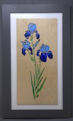 Iris Flowers.jpg
