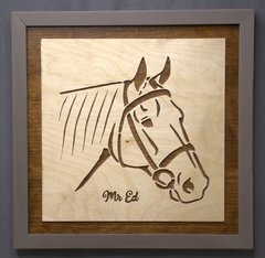 Mr Ed.jpg