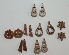 Earrings by Steve Good.jpg