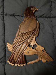 IMG_0009