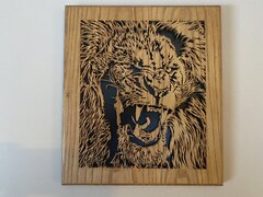 IMG_0028