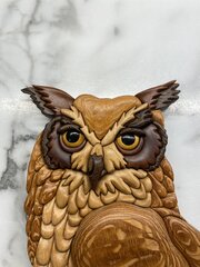 IMG_0049