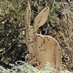 Jack Rsbbit.jpg