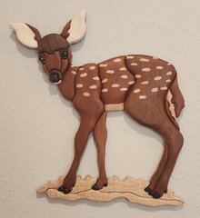 fawn.jpg