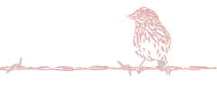 Sparrow-Pattern.png